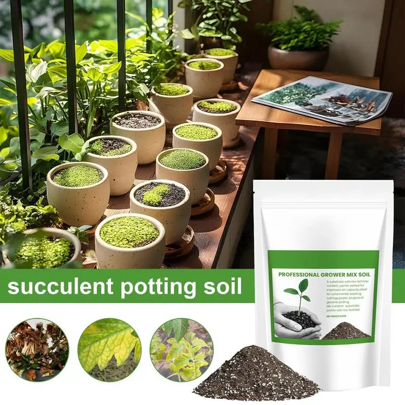 Succulent Soil Potting Mix Aer - Us Bonsai Garden review and price