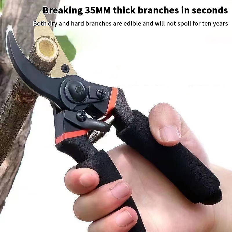 Time-Saving Garden Pruner for  - Bonsai Garden Timings review and price