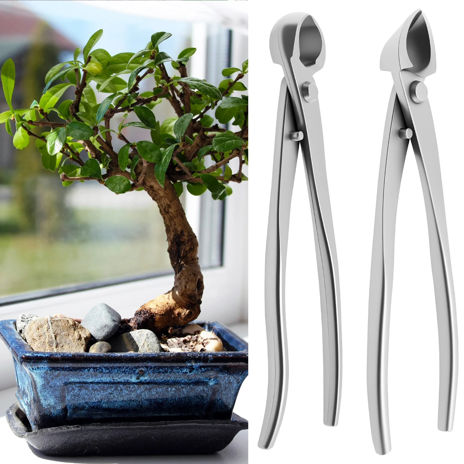 Bonsai Grooming Kit Stainless  - Bonsai Garden Timings review and price