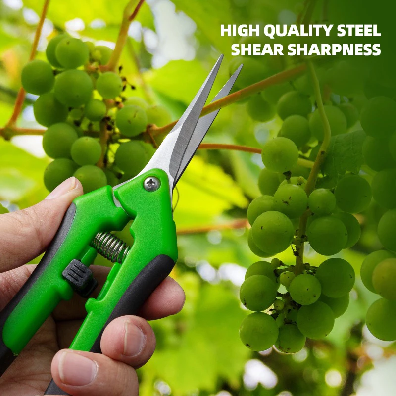 6.5-inch Pruning Scissors for  - Bonsai Garden Timings review and price