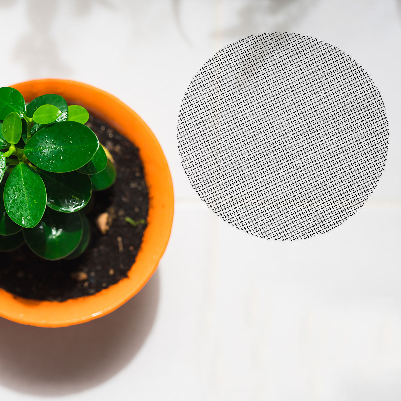 50Pcs Flower Pot Hole Mesh Pad - Us Bonsai Garden review and price