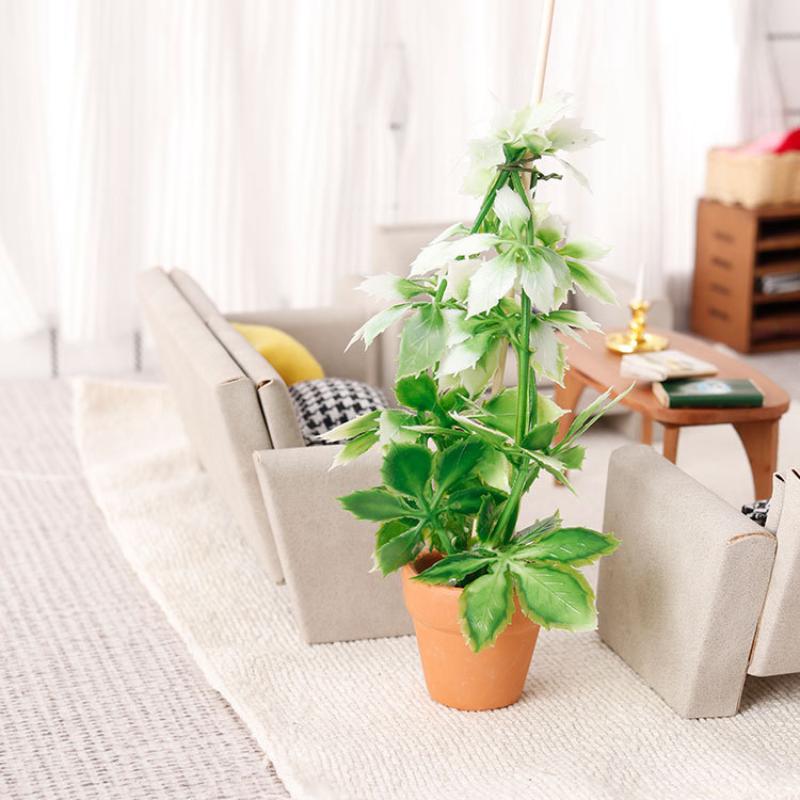 1/12 Dollhouse Simulation Gree - Us Bonsai Garden review and price