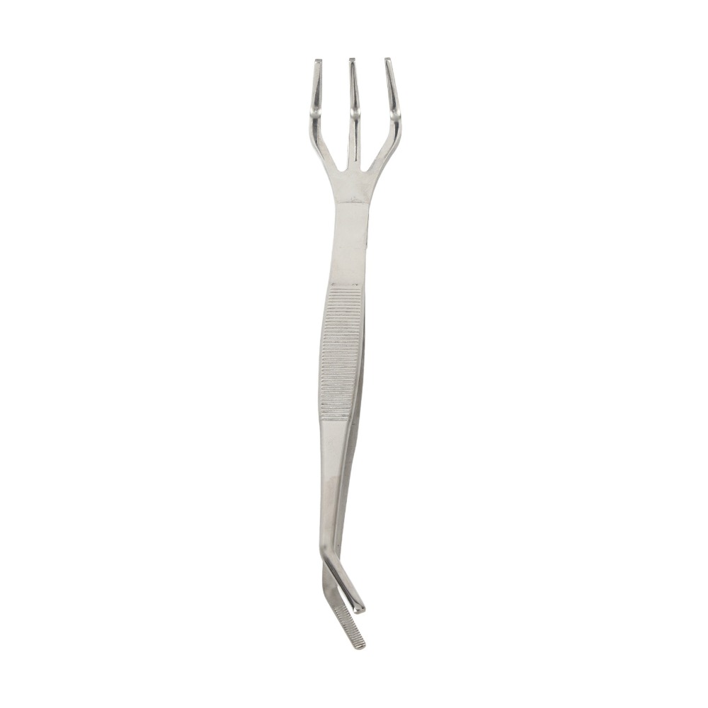 Durable 2 in 1 Bonsai Rake Sta - Bonsai Garden Tools review and price