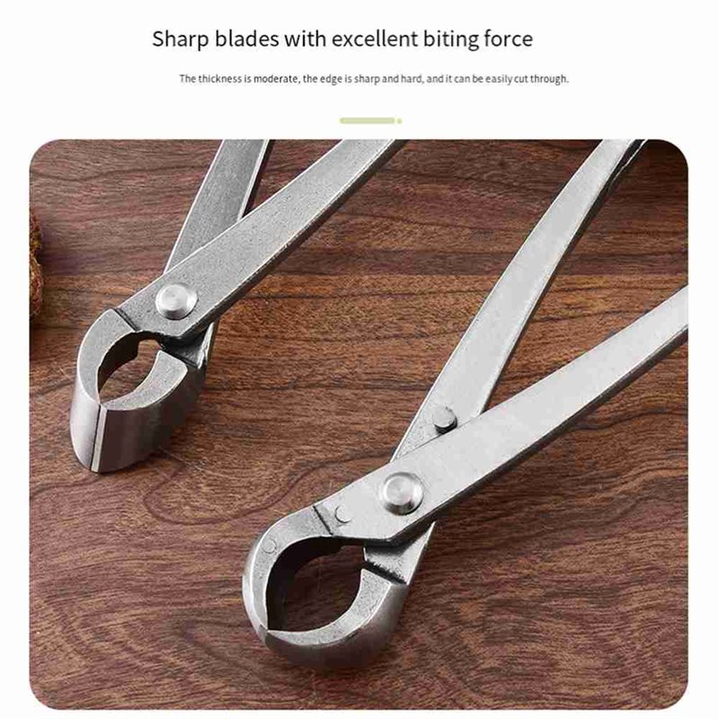 ABAE-Bonsai Tree Tools, 4 Piec - Root Hook Tool review and price