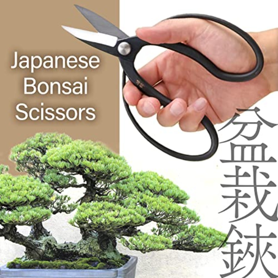 Japanese Suiryu Bonsai Scissor - Japan Bonsai Garden review and price