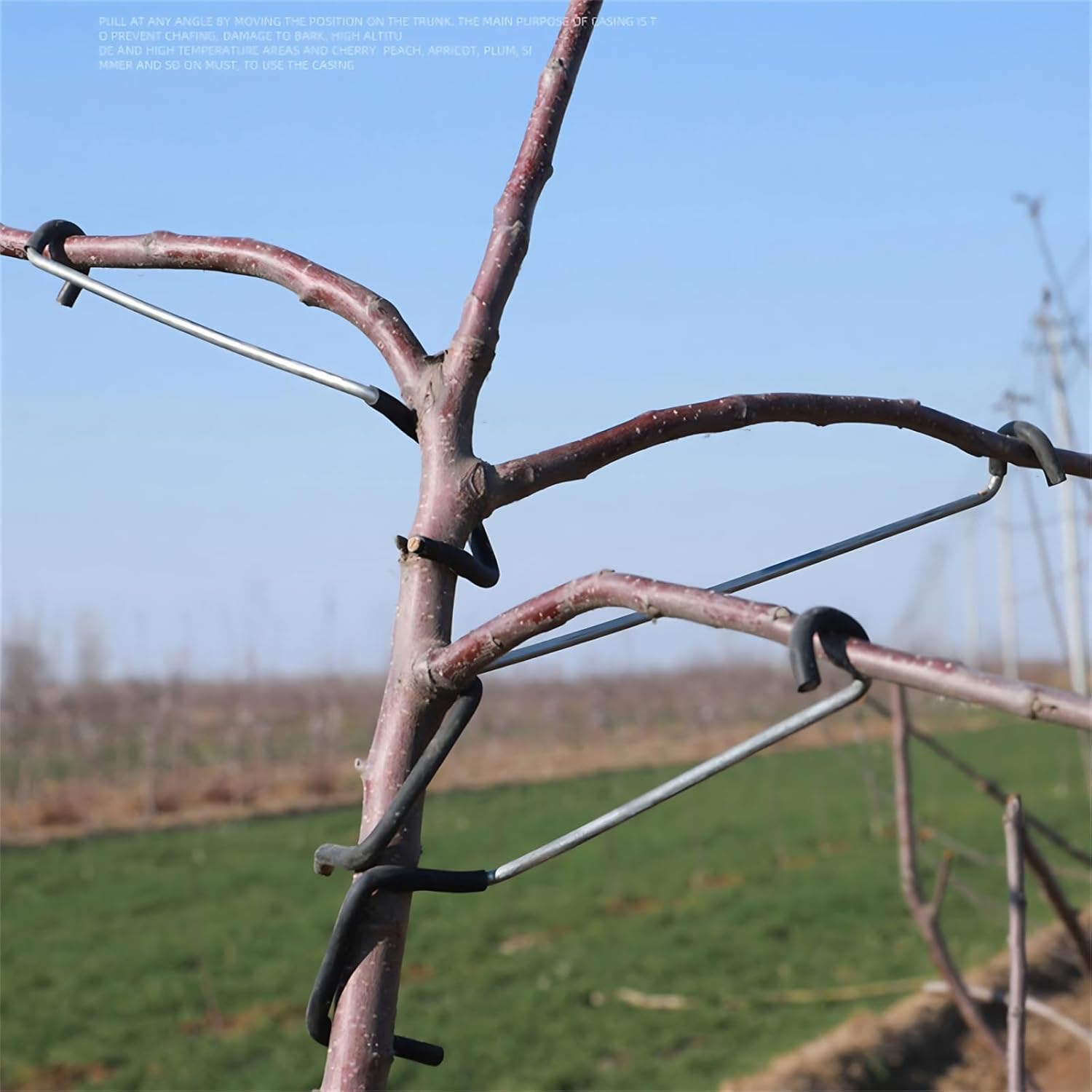 Adjustable Fruit Tree Branch S - Us Bonsai Garden review and price