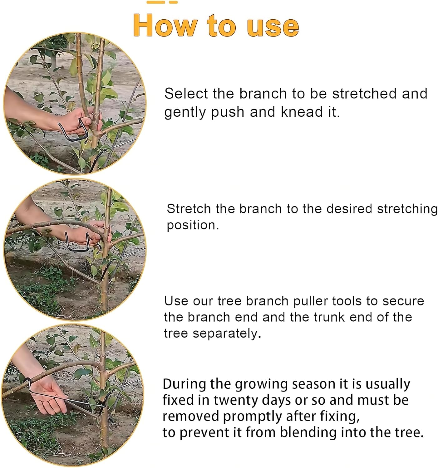 Adjustable Fruit Tree Branch S - Us Bonsai Garden review and price