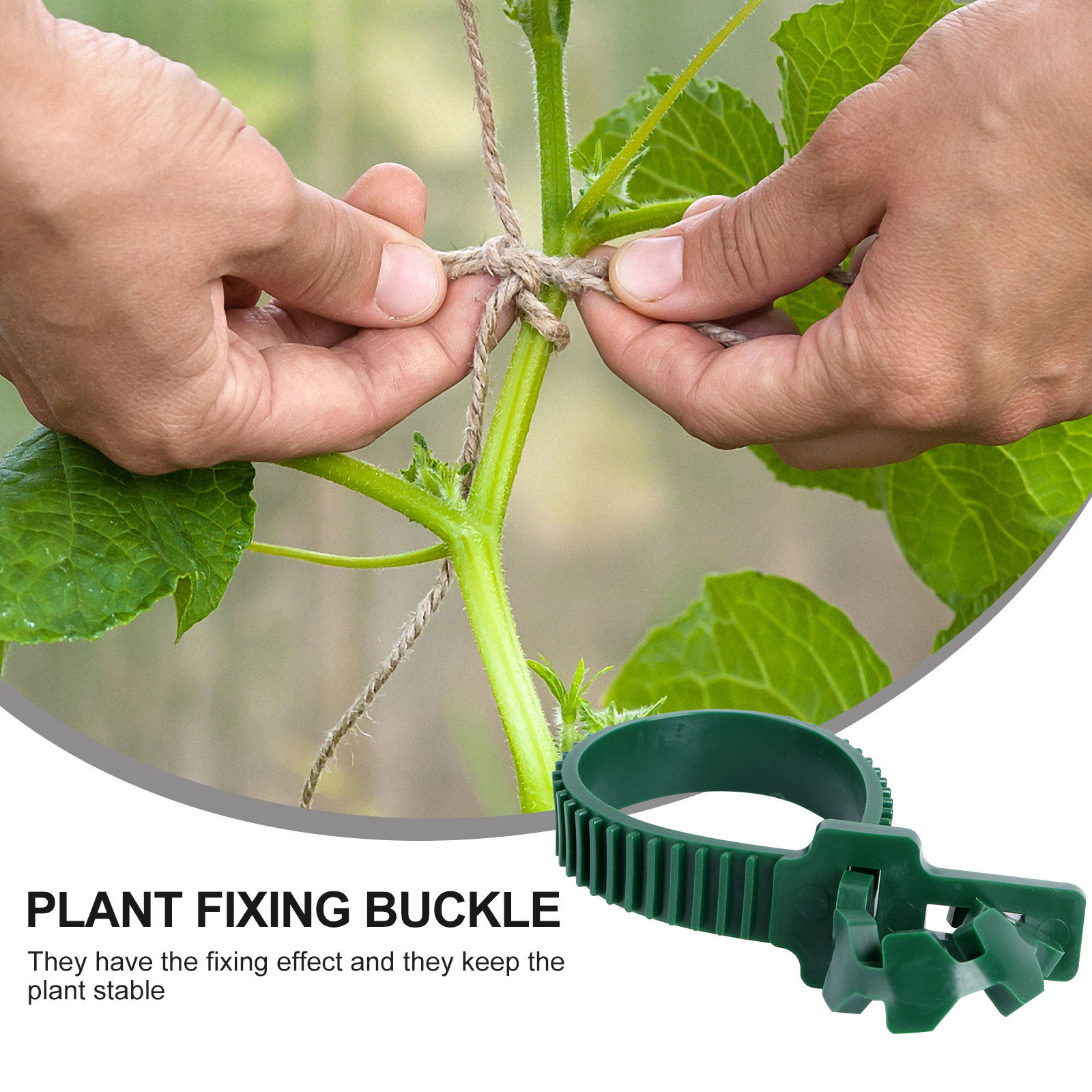 20Pcs Vine Fixing Buckle Garde - Us Bonsai Garden review and price