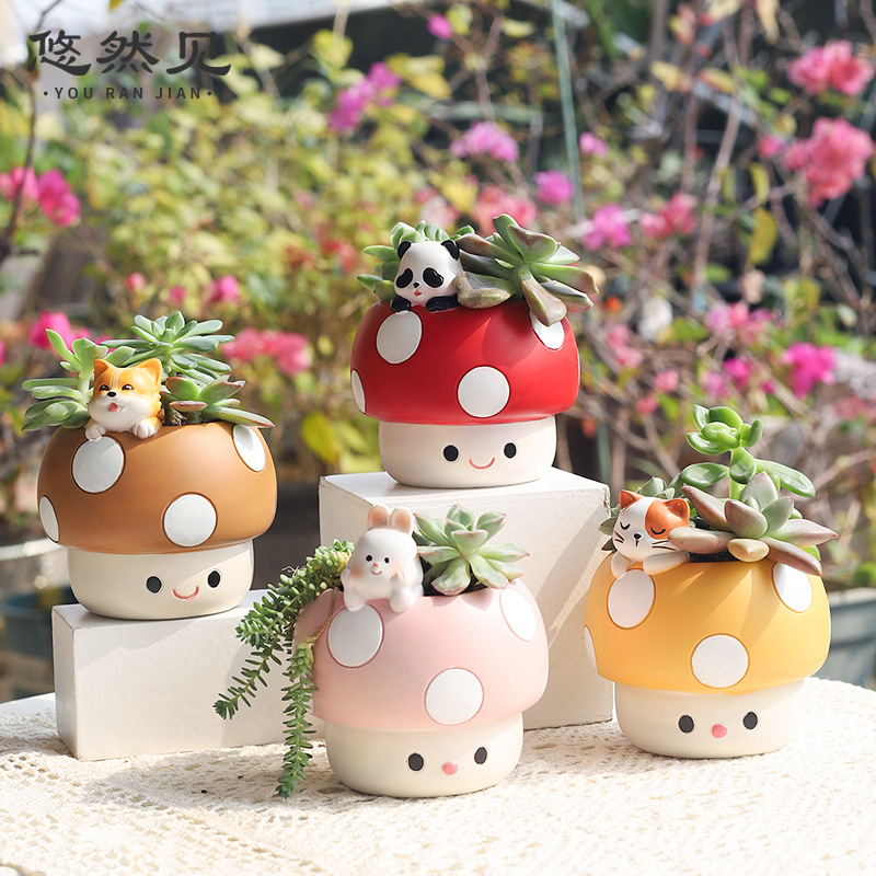 Cartoon Cute Mushroom Succulen - Bonsai Garden Youtube review and price
