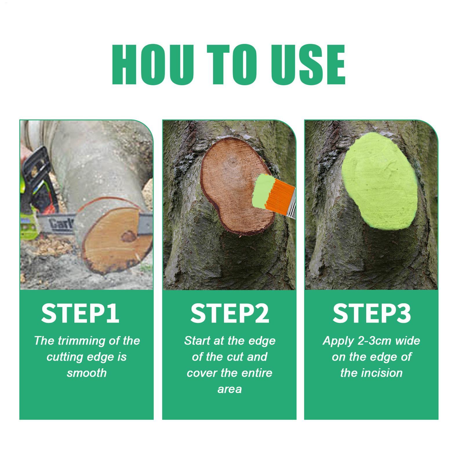 100g Tree Wound Pruning Sealer - Us Bonsai Garden review and price